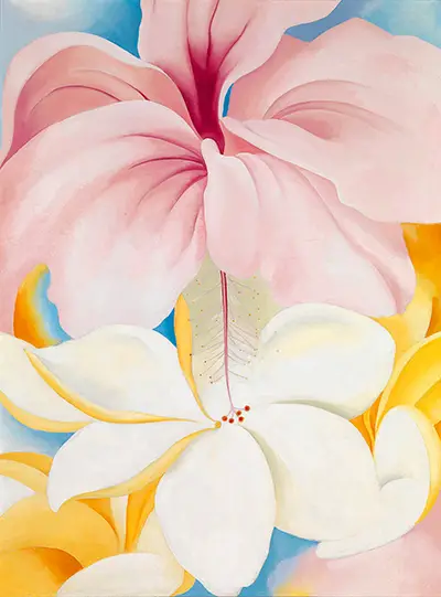 Hibiscus with Plumeria Georgia O'Keeffe